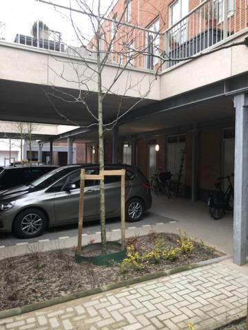 Benb Op De Trans, Arnhem Op Zijn Best! 외부 사진